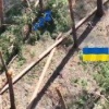 Русский боец голыми руками поймал вражеский дрон и разбил его об сосну