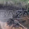 Бобры оккупировали дачу под Брянском и два месяца держали оборону. Отряд...