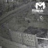 Целое семейство медведей пришло в садоводство под Красноярском. Хищники ночью...
