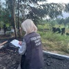 В Канске возбуждено уголовное дело по факту уничтожения воинского захоронения