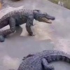 Ещё одна причина, почему женщины живут дольше мужчин. Мы не Х не понимаем 🤔...