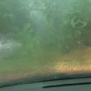 Красное село на безымянного озера Повалило деревья и зажало людей в машинах...