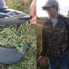 Полицейские Хакасии изъяли почти два килограмма марихуаны у жителя Усть-Абаканского района
