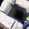В Дудергофе мама-кошка родила котят прямо в трубе и не подумала о том, как...