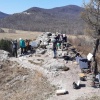 Следы двух крупных волков обнаружили рыбаки в Кыштовском районе