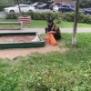 В Подмосковье женщина высыпала пакет с говном своего кота в детскую песочницу.