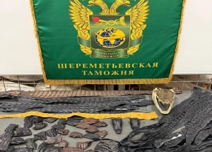 64 части крокодилов «для личного пользования» обнаружили в багаже россиянина,...