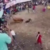 В Колумбии тореадор получил травмы прямой кишки после нападения быка.