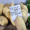🍉🍈 Во Владивостоке снизились цены на бахчевые культуры
