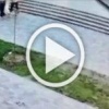 В Мытищах дети устроили настоящий погром у мемориала «Войну-освободителю».