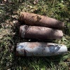 Под Ачинском грибник нашёл в лесу артиллерийские снаряды. Мужчина собирал...
