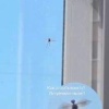 В российских соцсетях бурно обсуждают видео со «Стрекозоидом»
