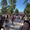 Полиция проводит проверку по факту массового скопления граждан
