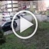 Сбежавшие кони сбили семилетнюю девочку в Кемеровской области