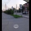 На сколько я знаю, кустарники, посаженные слишком близко к дороге, могут...