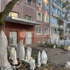В Колпино цветы приготовились к зиме. На что это похоже — решайте сами. 🇷🇺...