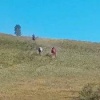 В Кызылском районе нашли похитителя лошадей