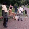 Неадекватный мужчина избил отдыхающих в московском парке у метро Дубровка....