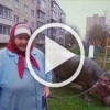 бегемота и теперь ездит на нём до магазина.