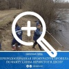 Реку Десна в Брянске превращают в сточную канаву