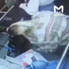 В элитном ЖК «Маяк» в Подмосковье беременную девушку избили в лифте прямо на глазах у ее плачущего ребенка.