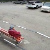 Живодёр ради забавы выкинул трёх новорождённых котят с восьмого этажа в...