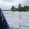 Мишку заметили в реке Кан недалеко от Зеленогорска В нескольких километрах от...