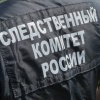 В Абакане задержан мужчина, обвиняемый в совершении развратных действий в отношении несовершеннолетних