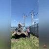 В Красноярском крае организаторы майнинг-фермы похитили электроэнергии более...