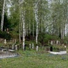 В Междуреченске медведь вышел на местное кладбище и распугал людей.