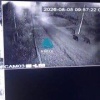 Вечерний медвежий променад рядом с дачами между Колягино и Пугачево. Людям по...
