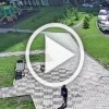 Маленький, но очень злой пёс напал на мальчика в...