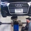 Этот кот из Владивостока бывает в автосервисе чаще, чем многие автовладельцы — его регулярно находят под капотами разных машин в сети СТО.