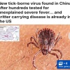 Новый вирус в Китае: случаи фиксируют в том числе в Ухани, где в 2020-м началась вспышка COVID-19.