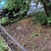 Утром у дома №3, корпус 2 на проспекте Авиаконструкторов, рядом с детским...