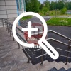От читателя: Администрация города бездействует по отлову...