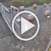 Неадекватка напала на девушку в Красноярске.