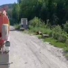 Медведь встал на дежурство на трассе под Северо-Енисейском. В Красноярском...