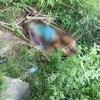 Труп обнаружили во дворе в Ленинском районе