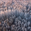 Прогноз погоды на 26 февраля