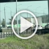 На ЕКАД заметили бесстрашную девушку, которая вылезла из...