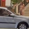 В центре Сочи очевидцы сняли на видео девушку, которая без одежды гуляла по...