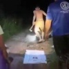 В Таиланде мужик попытался убить огромного питона, но в итоге сам стал его...