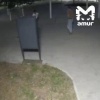 ❗️ Двое парней украли дорожный знак и разнесли сквер во Владивостоке — всё ради понтов перед девушками.