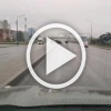 Лосиные приключения в Купчино продолжаются На юге Питера...