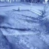 Полицейский избил уфимца из-за ссоры с соседями в Жуково. Об этом рассказал пострадавший
