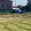 В Иркутской области отменили дни здоровья на природе из-за медведей.