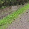 Маленький мишка вышел к дороге возле Казачинского. Косолапый даже не...