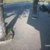В Ставропольском крае 74-летняя пенсионерка сбила на пешеходном переходе девушку: пострадавшая в реанимации