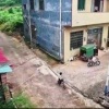В Индии парень на велосипеде не смог затормозить и эпично свалился с высоты....